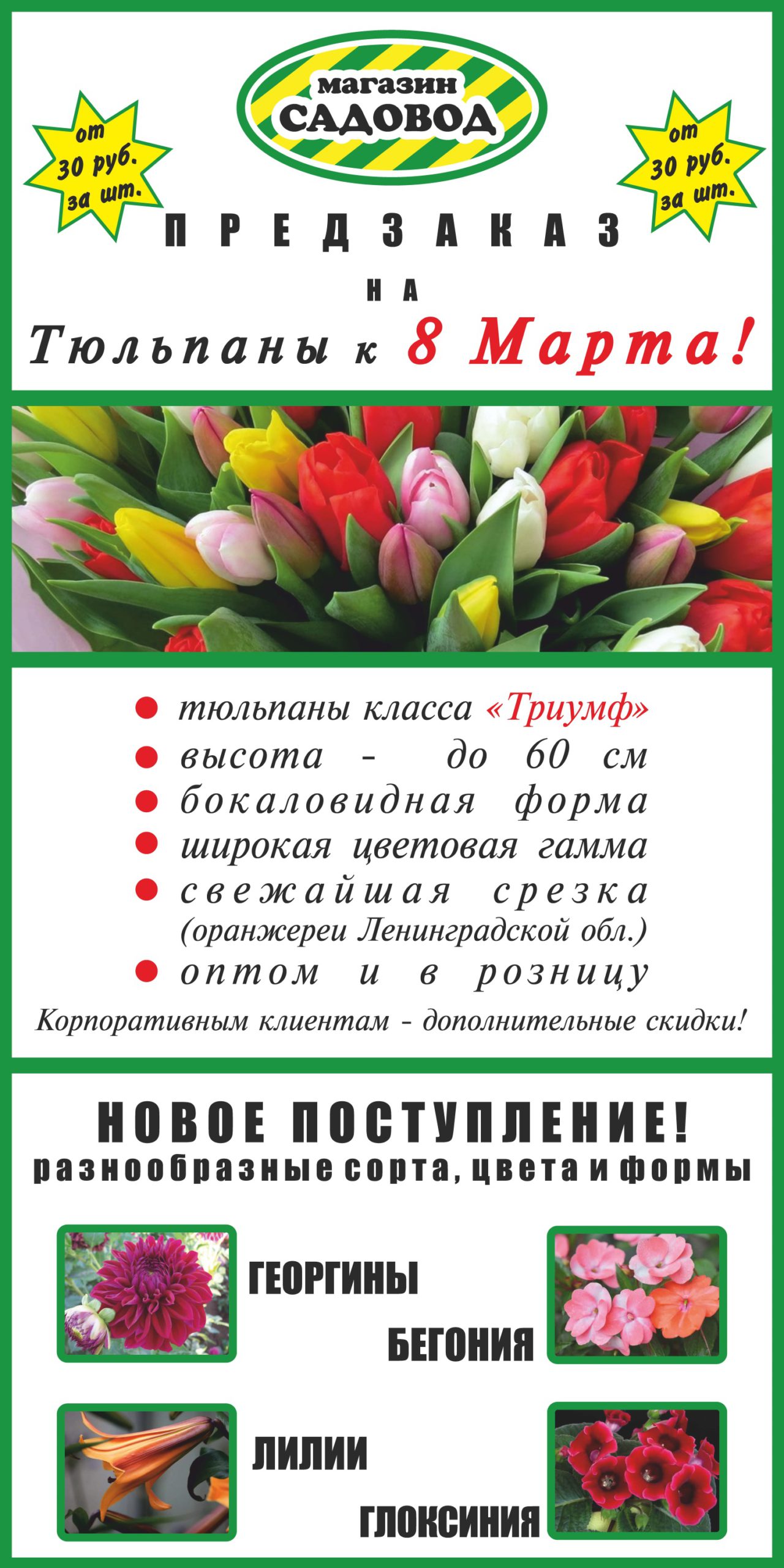 Продажа тюльпанов на 8 марта